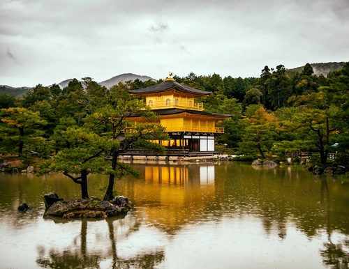 озеро, парк, япония, пагода, желтые, зеленые