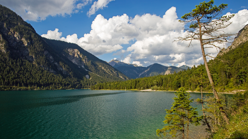 дерево, озеро, горы, природа, зеленые, голубые