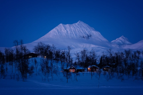 ночь, гора, деревья, лес, черные, синие