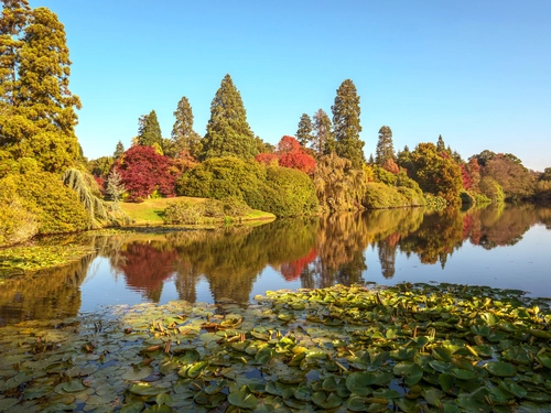 озеро, природа, осень, зеленые, синие, лес