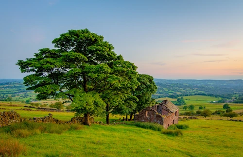 дерево, долина, англия, природа, синие, зеленые, голубые