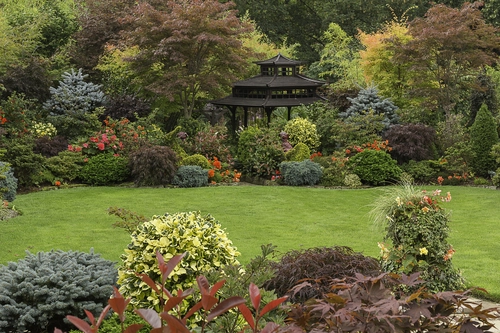 парк, природа, сад, англия, поле, зеленые