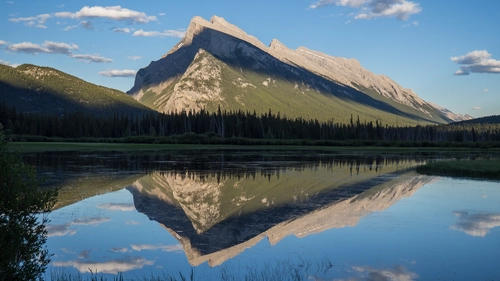 гора, тень, отражение, деревья, лес, зеленые, синие