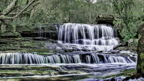 белые, коричневые, водопад, лес, природа