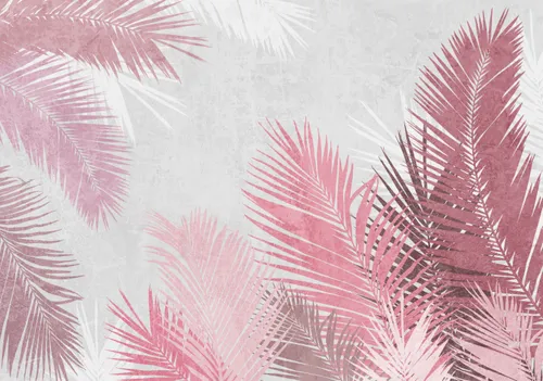 Тропики, Папоротник, Кустарник, Листья