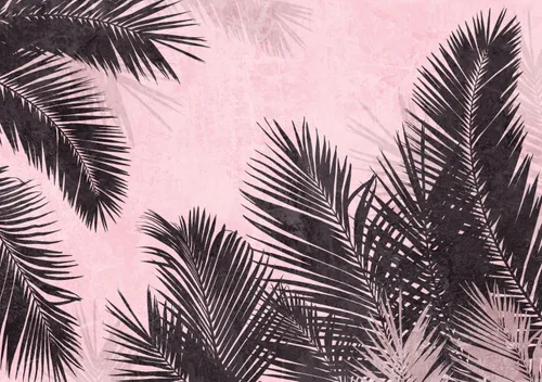 Тропики, Папоротник, Кустарник, Листья