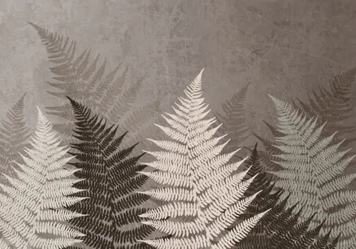 Тропики, Папоротник, Кустарник, Листья