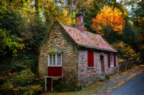 лес, дом, англия, природа, коричневые, зеленые