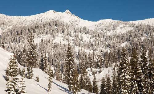 горы, деревья, природа, зима, белые, синие