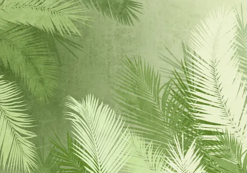 Тропики, Папоротник, Кустарник, Листья