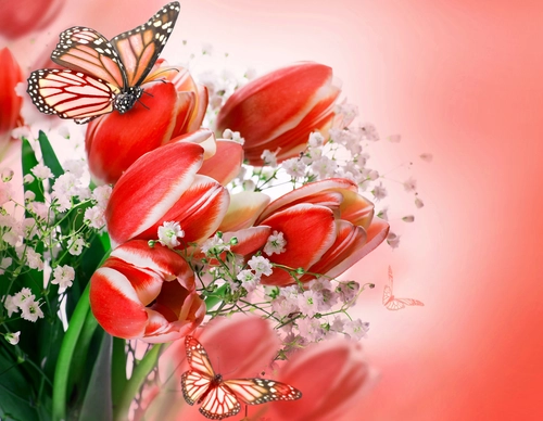 тюльпаны, бабочка, красные, природа, цветы, зеленые