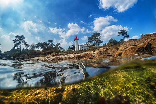 вода, берег, франция, природа, дом, белые, коричневые, зеленые, синие