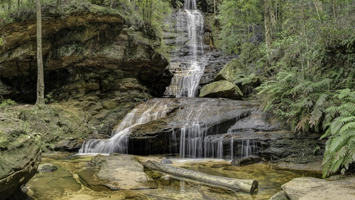 дерево, река, водопад, коричневые, зеленые