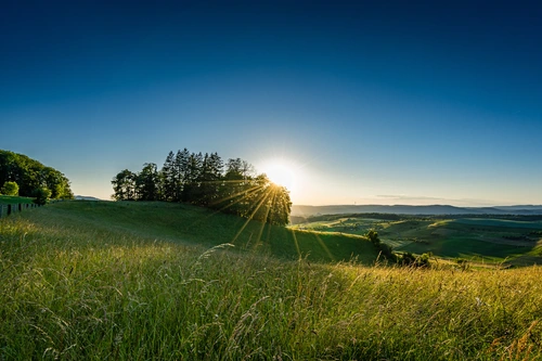 природа, закат, поле, зеленые, голубые, желтые