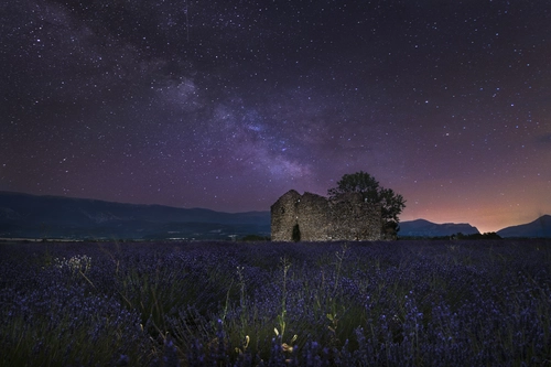 ночь, звезды, поле, небо, фиолетовые, темные