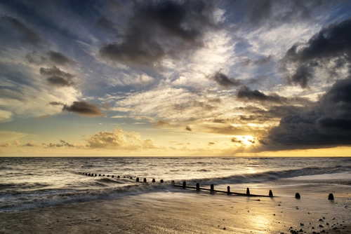 океан, пляж, берег, волны, желтые, коричневые, белые