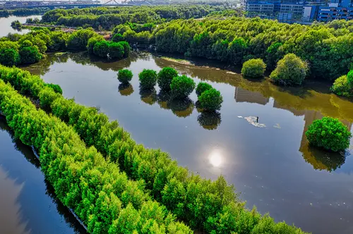 зелень, деревья, вода, город, мост, зеленые