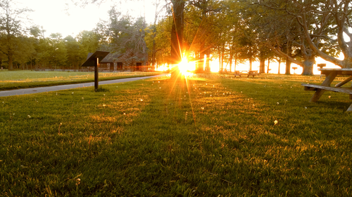 парк, природа, город, желтые, зеленые