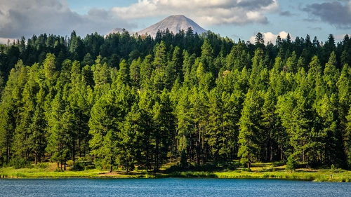 лес, озеро, гора, природа, зеленые, синие