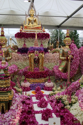 англия, цветы, золотые, красные, розовые, белые