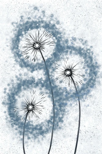 одуванчики, рисунок, синие, белые