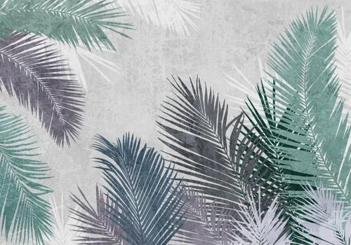 Тропики, Папоротник, Кустарник, Листья