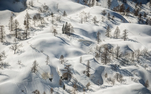 холмы, лес, природа, снег, зеленые, белые