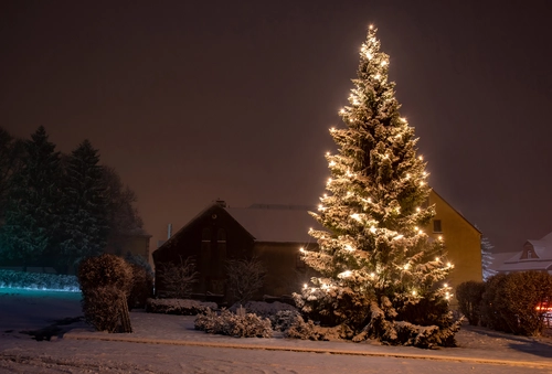 ель, снег, зима, гирлянда, желтые, серые, темные