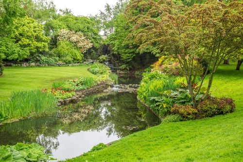 река, деревья, парк, англия, зеленые, коричневые