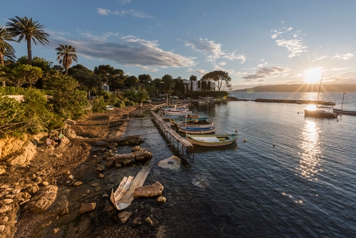 море, пальма, франция, зеленые, голубые, синие