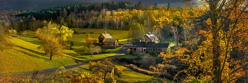 лес, поле, панорама, зеленые, желтые, коричневые