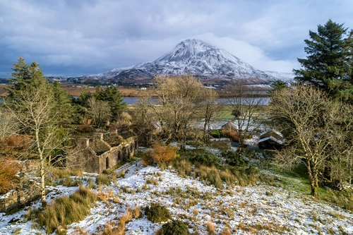 гора, лес, дом, природа, коричневые, белые