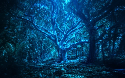 лес, деревья, ночь, кусты, синие, чёрные