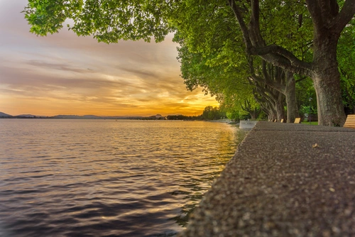 набережная, вода, река, озеро, пруд, дерево, деревья, закат, горизонт, пейзаж, серые, зеленые, оранжевые