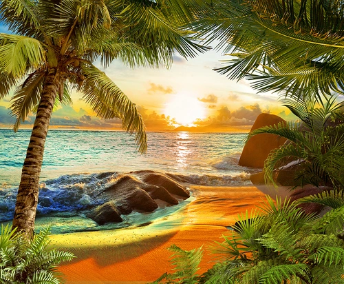 пляж, берег, песок, пальма, пальмы, море, океан, вода, горизонт, закат, рассвет, оранжевые, зеленые