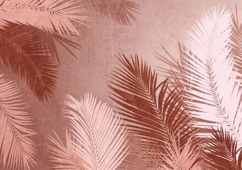 Тропики, Папоротник, Кустарник, Листья