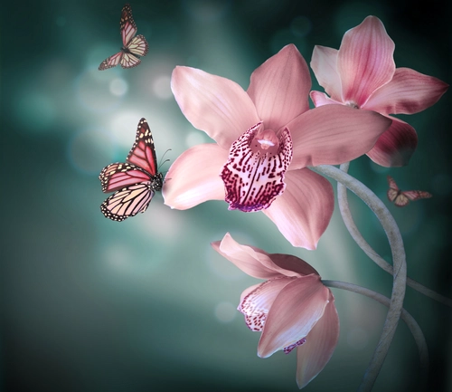 цветы, бабочки, природа, розовые, зеленые