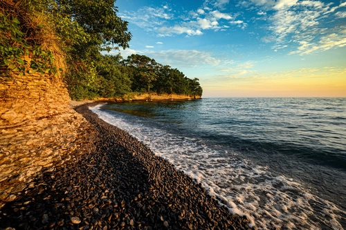 берег, океан, скалы, деревья, волны, коричневые, голубые, зеленые