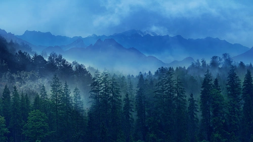горы, туман, деревья, лес, дымка, голубые, зелёные