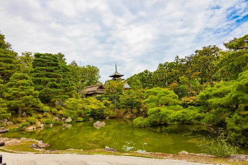 река, озеро, парк, япония, природа, белые, зеленые