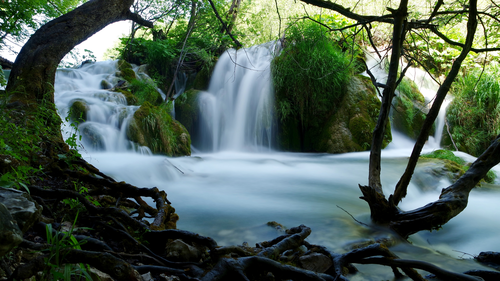 река, лес, водопад, зеленые, белые