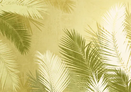 Тропики, Папоротник, Кустарник, Листья