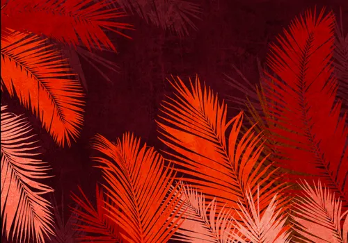 Тропики, Папоротник, Кустарник, Листья