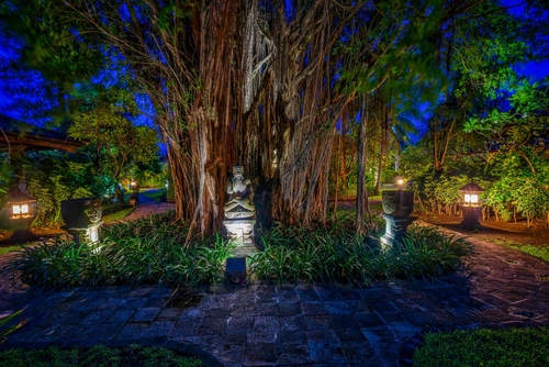 парк, дерево, природа, ночь, коричневые, желтые, зеленые