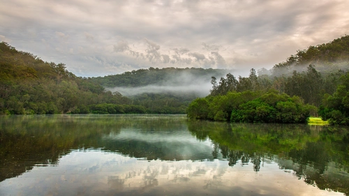 туман, облака, отражение, лес, зеленые, серые