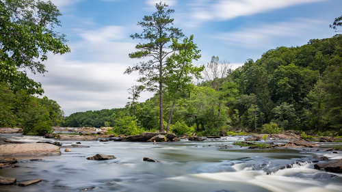 дерево, река, природа, коричневые, зеленые, голубые