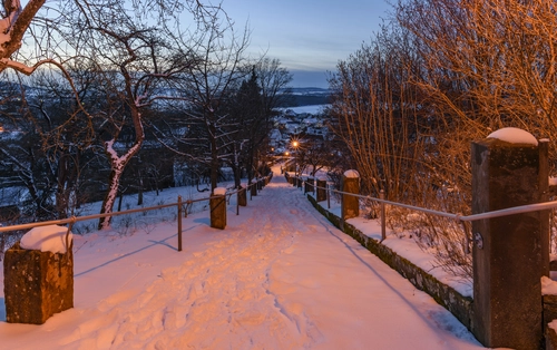 вечер, мост, лес, розовые, синие, природа