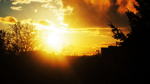 закат, желтые, темные, черные, оранжевые