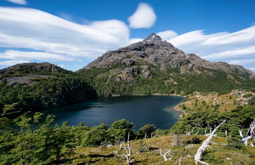 гора, аргентина, природа, серые, белые, зеленые