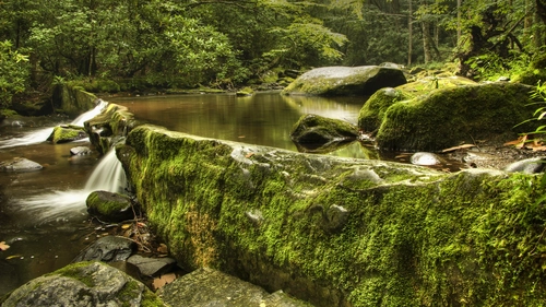 водопад, коричневые, природа, лес, зеленые
